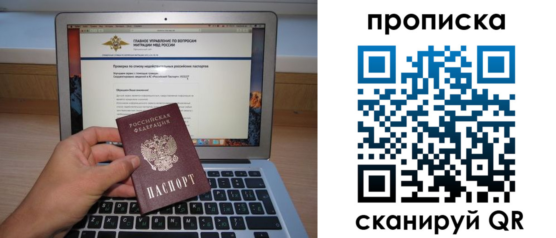 прописка поиск в Котово